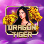 Dragon Tiger ph-333 live casino