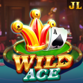 Wild Ace ph-333 slot Game
